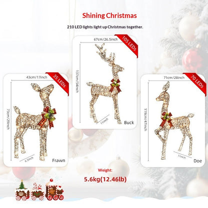LED Lighted Rattan Deer Christmas Set (3-Piece)